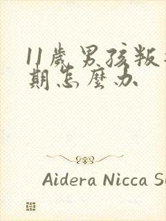 11岁男孩叛逆期怎么办