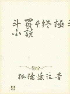 斗罗4终极斗罗小说