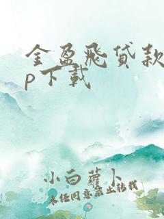 金盈飞贷款app下载