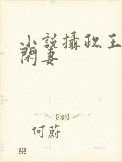小说摄政王的小闲妻