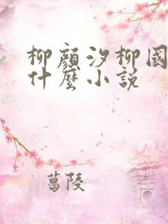 柳颜汐柳国安是什么小说