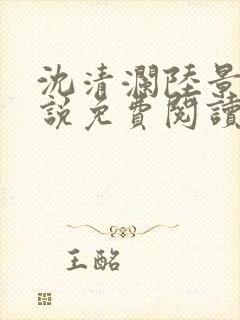 沈清澜陆景沉小说免费阅读最新章节更新