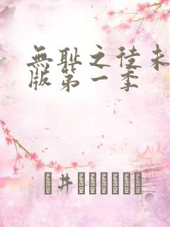 无耻之徒未删减版第一季