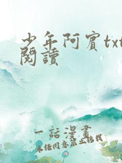 少年阿宾txt阅读