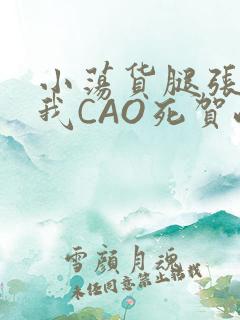小荡货腿张开让我CAO死贺峻霖