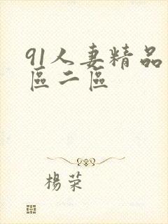 91人妻精品一区二区