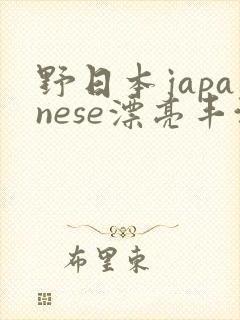 野日本japanese漂亮丰满