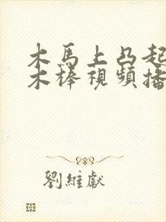 木马上凸起电动木棒视频播放