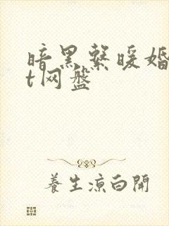 暗黑系暖婚txt网盘