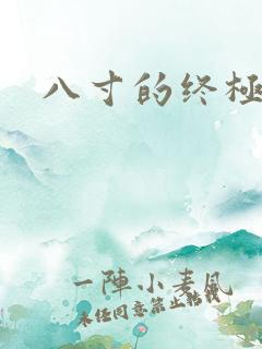 八寸的终极凶器