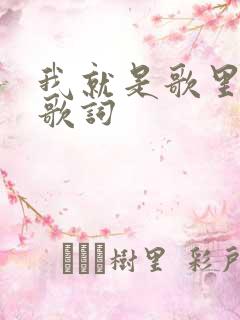 我就是歌里的人歌词