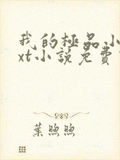 我的极品小姨txt小说免费下载