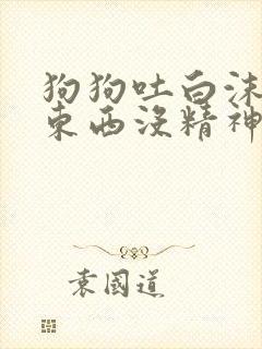 狗狗吐白沫不吃东西没精神不拉稀