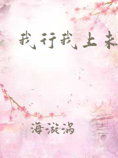 我行我上未删减