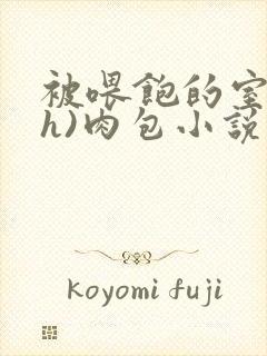 被喂饱的室友(h)肉包小说