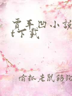 贾平凹小说txt下载