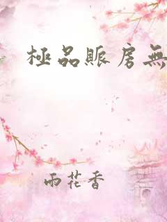 极品账房无弹窗