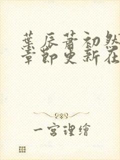 叶辰萧初然最新章节更新在线阅读