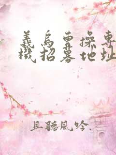 义乌曹操专车司机招募地址