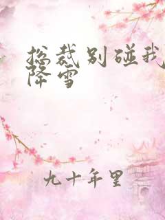 总裁别碰我 韩降雪