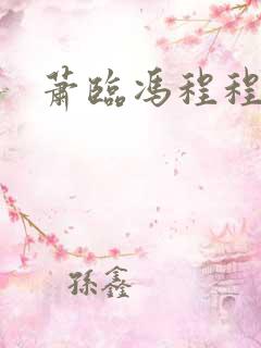 萧临冯程程小说