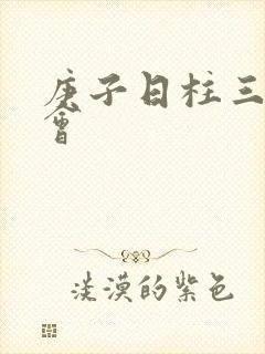 庚子日柱三命通会