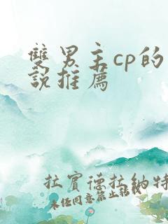 双男主cp的小说推荐