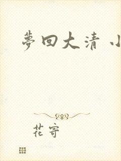 梦回大清 小说