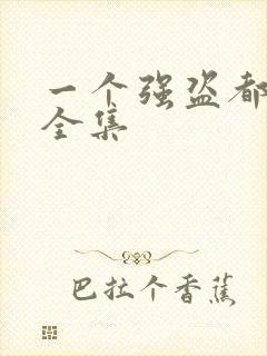 一个强盗都不留全集