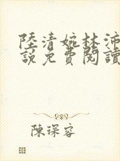 陆清婉林沛琛小说免费阅读最新章节