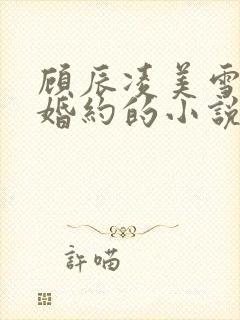 顾辰凌美雪五份婚约的小说名字叫什么