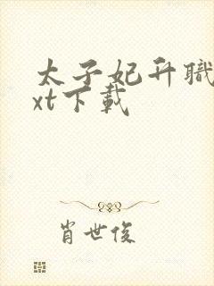 太子妃升职记txt下载