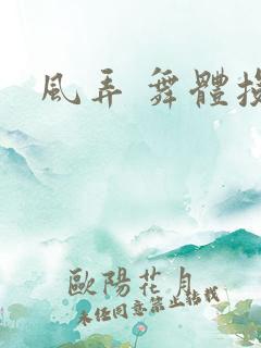 风弄 舞体投递