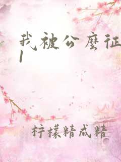 我被公么征服了1