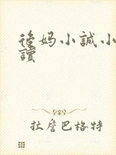 后妈小诚小说阅读