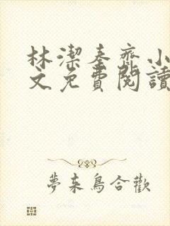 林洁秦齐小说全文免费阅读最新章节