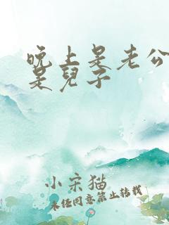 晚上是老公白天是儿子