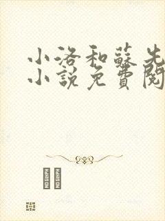 小洛和苏先生的小说免费阅读