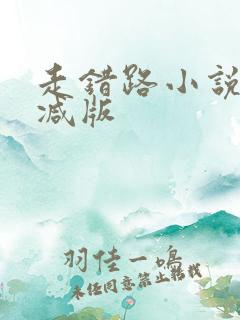 走错路小说无删减版