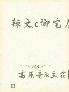 辣文c御宅屋h