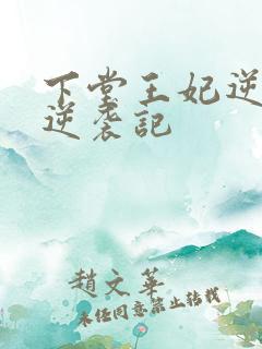 下堂王妃逆袭记逆袭记