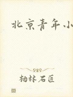 北京青年小说