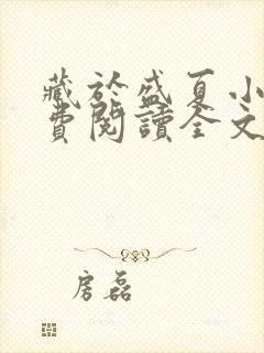 藏于盛夏小说免费阅读全文无弹窗