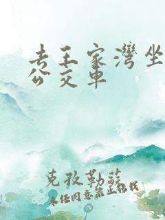 去王家湾坐几路公交车