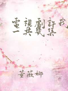 电视剧许我耀眼一共几集