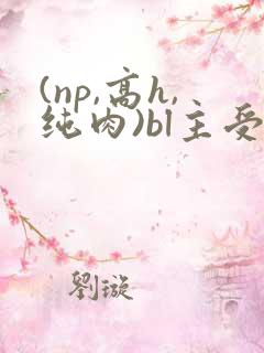 (np,高h,纯肉)bl主受
