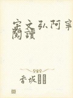 宇文弘阿宁全文阅读