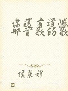 你还有遗憾吗是哪首歌的歌词