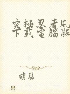 究极忍者风暴4下载电脑版