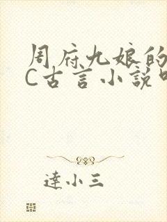周府九娘的NPC古言小说叫什么